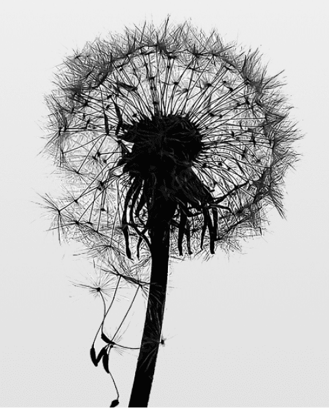 world-collective-image1